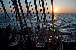 ������� ������ � ����� �����. ������������ �������� ����� 