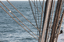 ������� ������ � ����� �����. ������������ �������� ����� 