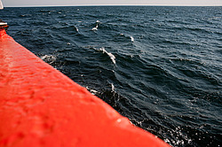 ������� ������ � ����� �����. ������������ �������� ����� 