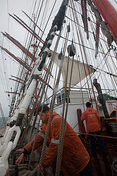 ������������ �������� ����� 