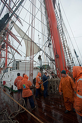 ������������ �������� ����� 