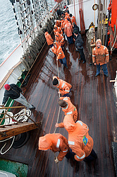 ������������ �������� ����� 