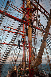 ������������ �������� ����� 