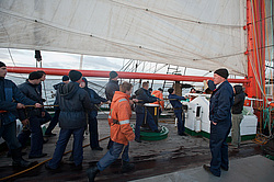 ������������ �������� ����� 