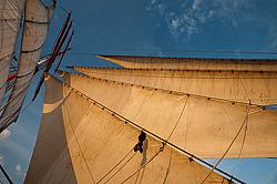 ������������ �������� ����� 