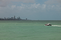 ������������ �������� ����� 