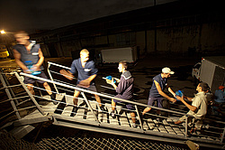 ������������ �������� ����� 