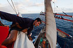 ������������ �������� ����� 