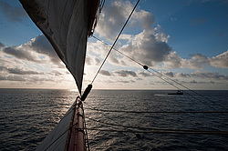 ������������ �������� ����� 