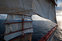 ������������ �������� ����� 