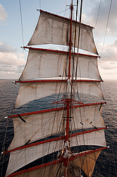 ������������ �������� ����� 