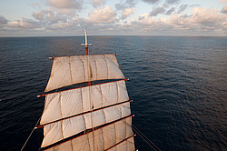 ������������ �������� ����� 