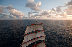 ������������ �������� ����� 