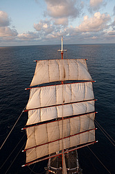 ������������ �������� ����� 