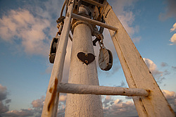 ������������ �������� ����� 