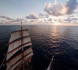 ������������ �������� ����� 