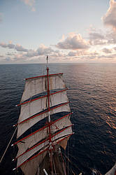 ������������ �������� ����� 