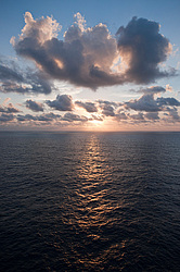 ������������ �������� ����� 