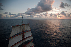 ������������ �������� ����� 