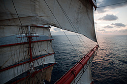 ������������ �������� ����� 