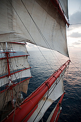 ������������ �������� ����� 