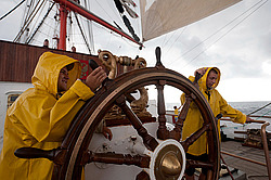 ������������ �������� ����� 