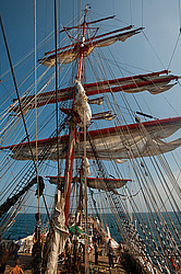 ������������ �������� ����� 