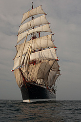 ������������ �������� ����� 