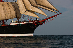 ������������ �������� ����� 