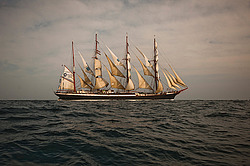 ������������ �������� ����� 