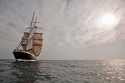 ������������ �������� ����� 