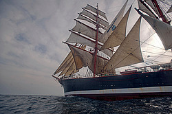 ������������ �������� ����� 