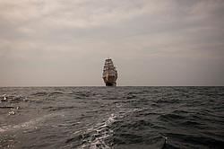 ������������ �������� ����� 