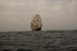 ������������ �������� ����� 