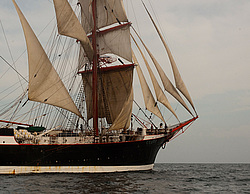 ������������ �������� ����� 