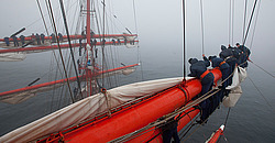 ������������ �������� ����� 