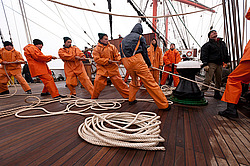 ������������ �������� ����� 