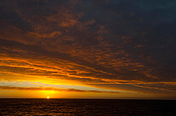 ������������ �������� ����� 