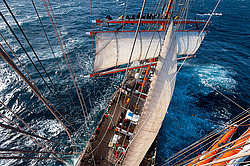 ������������ �������� ����� 