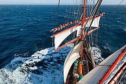 ������������ �������� ����� 