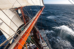 ������������ �������� ����� 