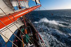 ������������ �������� ����� 