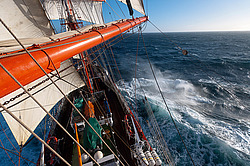 ������������ �������� ����� 