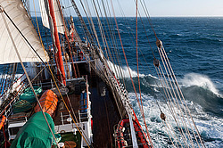 ������������ �������� ����� 