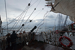 ������������ �������� ����� 