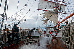 ������������ �������� ����� 