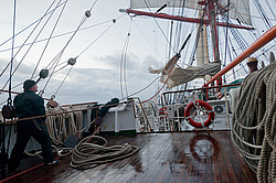 ������������ �������� ����� 