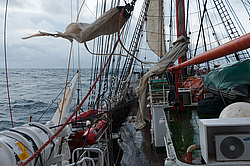 ������������ �������� ����� 