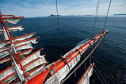 ������������ �������� ����� 