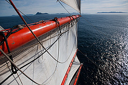 ������������ �������� ����� 